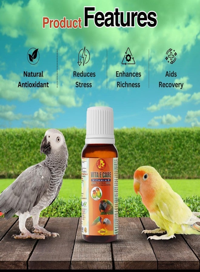 سايج سكوير مجموعة سيج سكوير بيت كير إنترناشونال فيتا إي كير وفيتا+ للطيور - فيتامين هـ الأساسي والتغذية اليومية، يعزز المناعة، نمو الريش، كفاءة التكاثر، تخفيف التوتر (30 مل) - Image 4